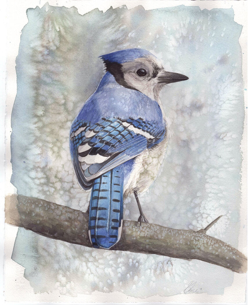 Painting Birds in Watercolor Watercolor Mastery Workshop