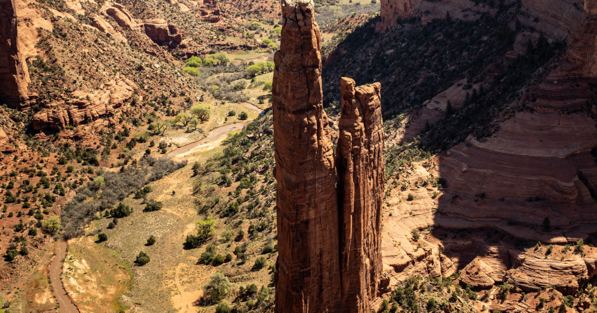 Art that Matters to the Planet: Wild America | Roger Tory Peterson ...